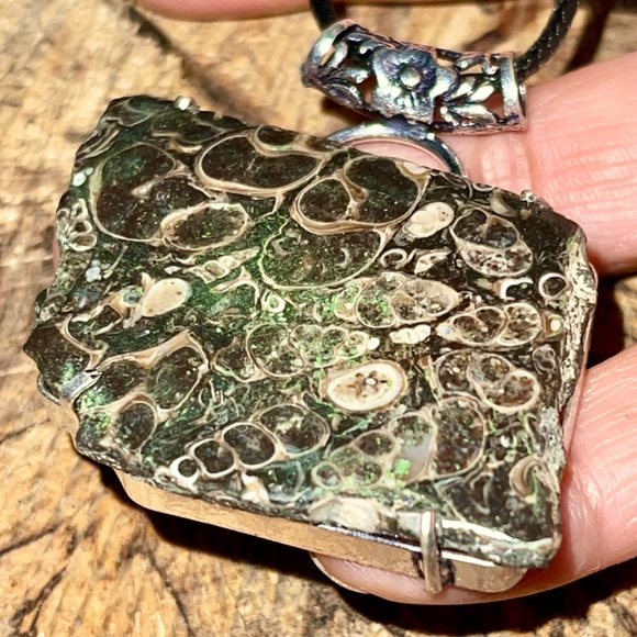 Large Elemia Turritella Agate Pendant 2” - Picture 5 of 12